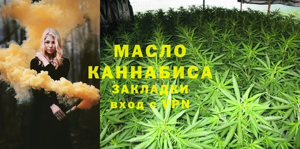 молекула духа Козельск