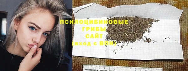 мет Корсаков